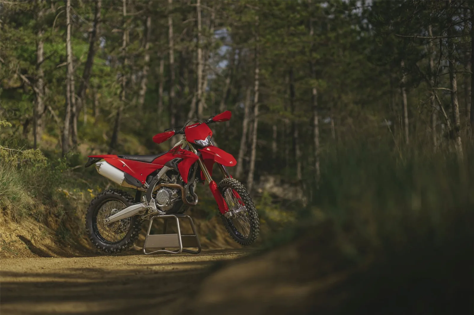 Ducati Desmo450 EDS