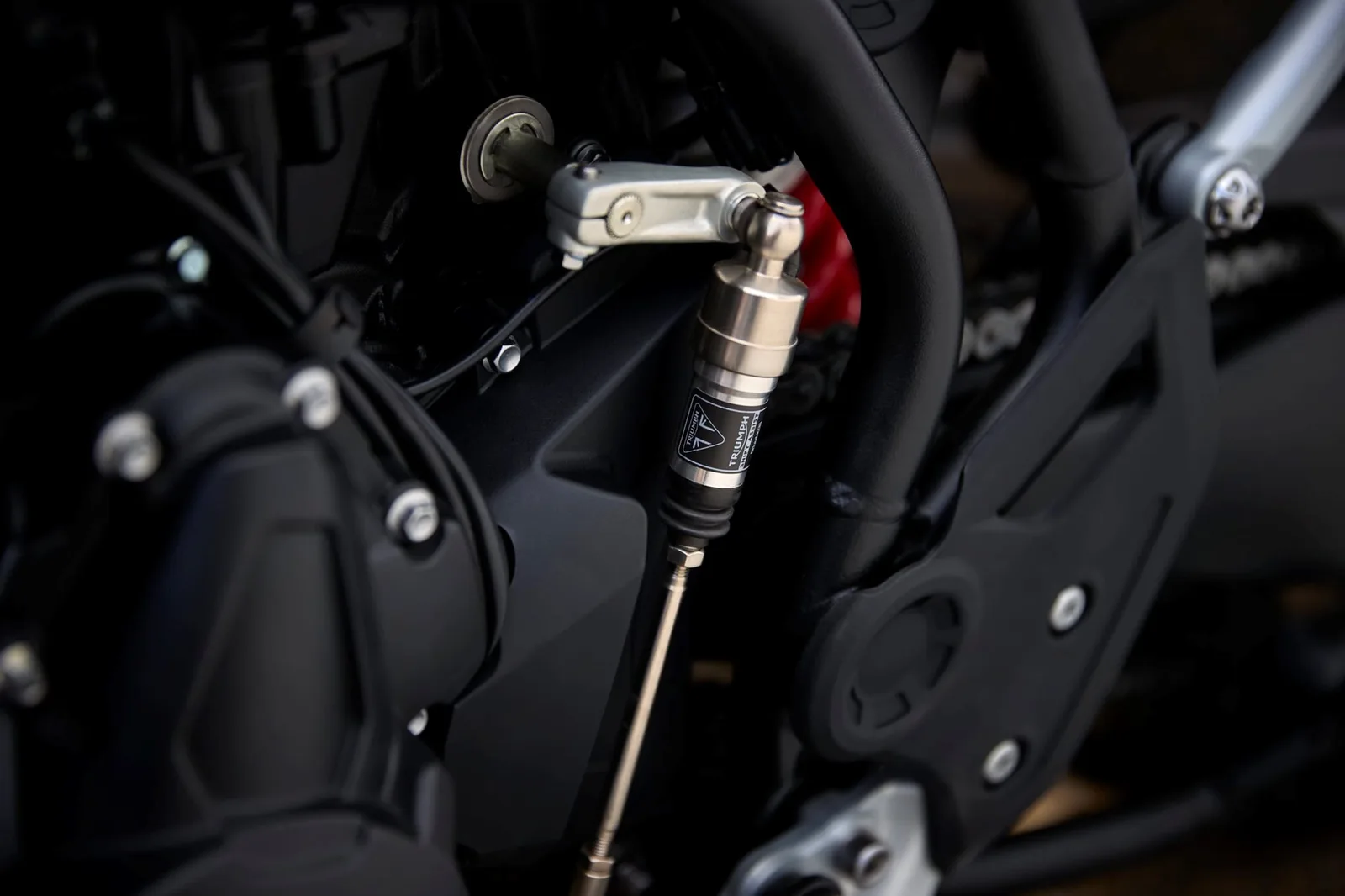 Triumph Tiger 900 Alpine Edition NEU MJ 2026!