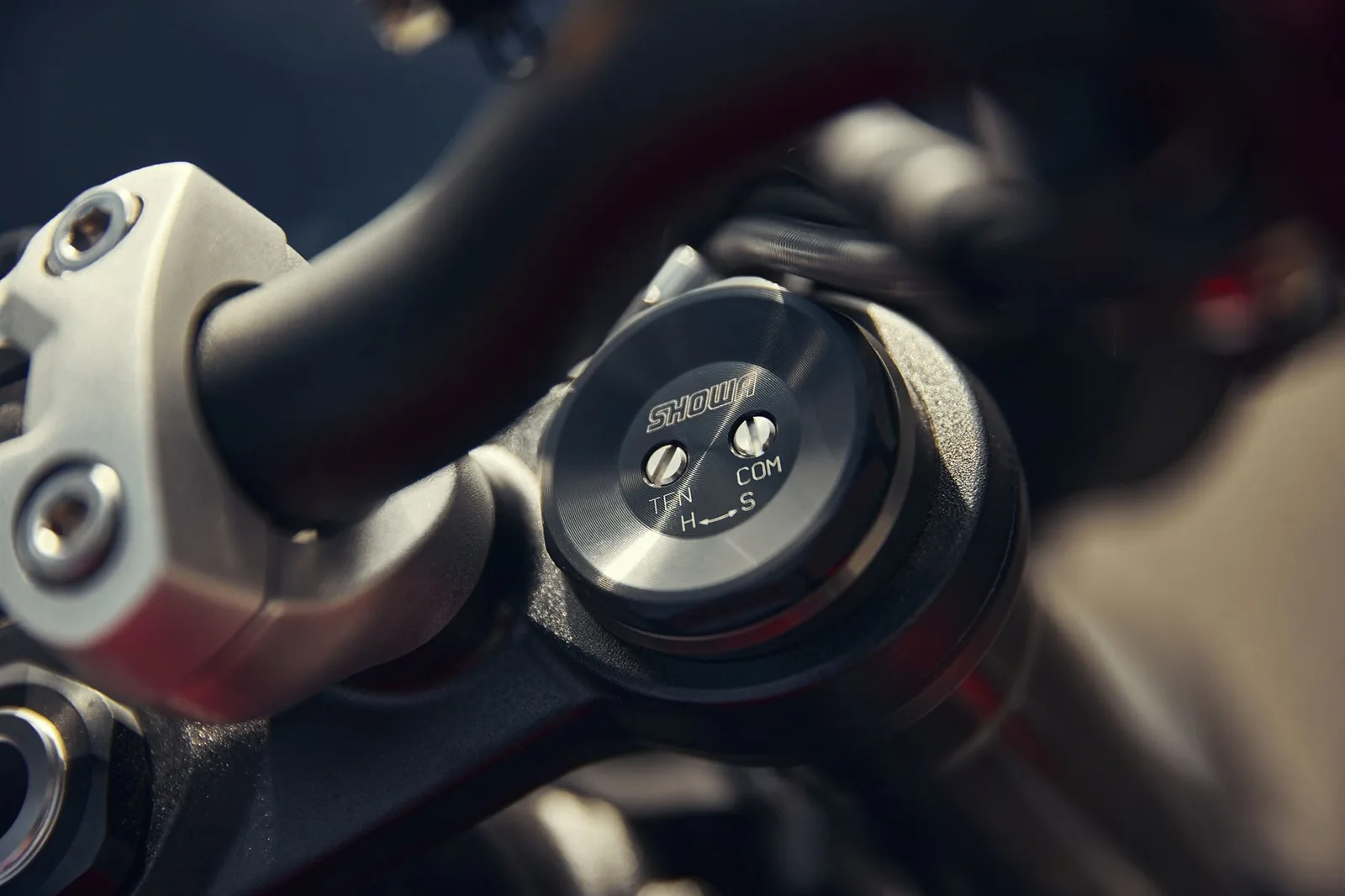 Triumph Street Triple 765 RS \*Jetzt Vorteil sichern\*