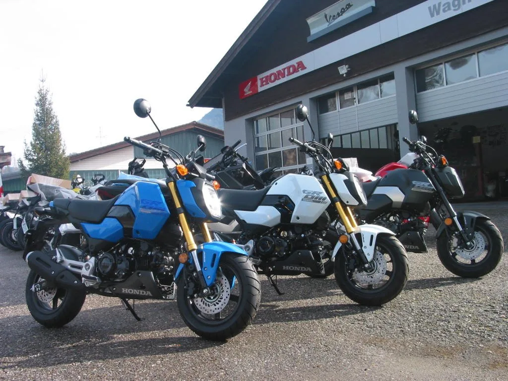 Honda MSX125 Grom \*Schnäppchen