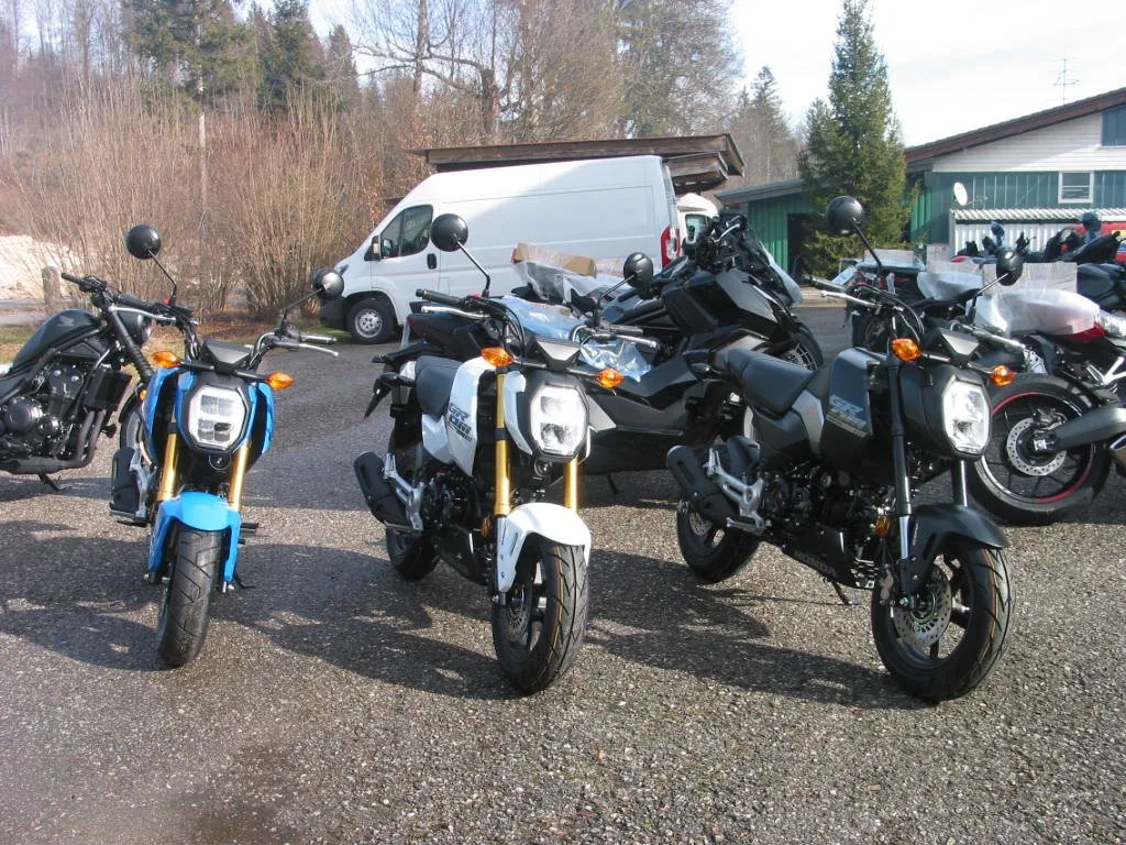 Honda MSX125 Grom \*Schnäppchen