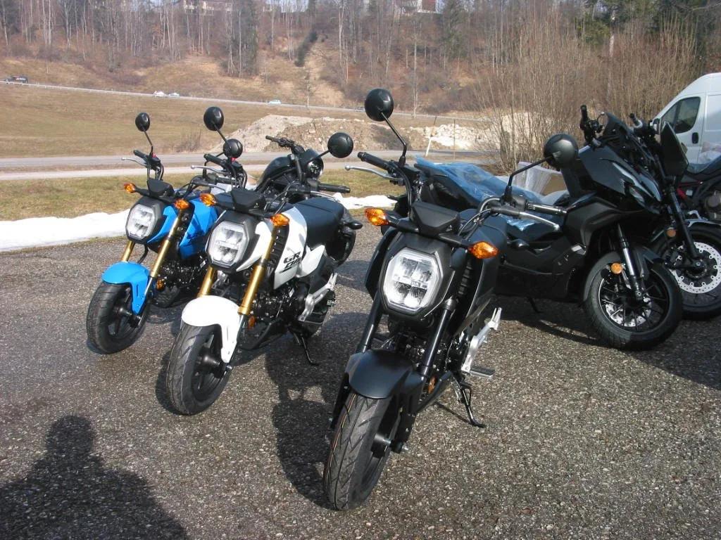 Honda MSX125 Grom \*Schnäppchen