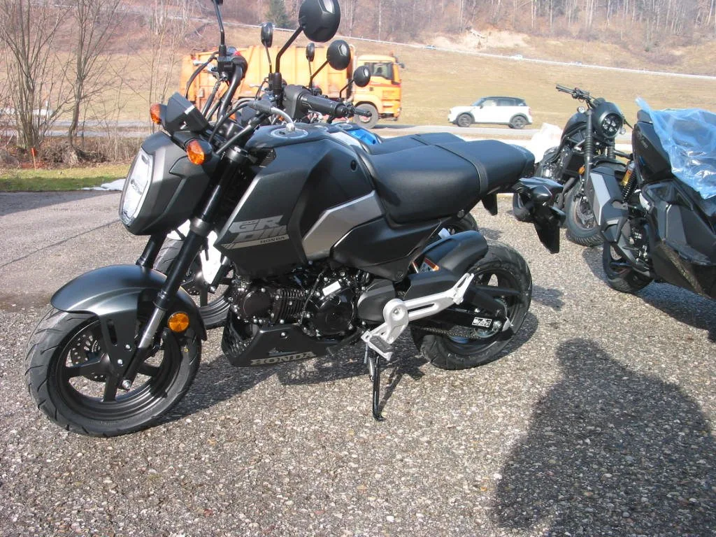 Honda MSX125 Grom \*Schnäppchen