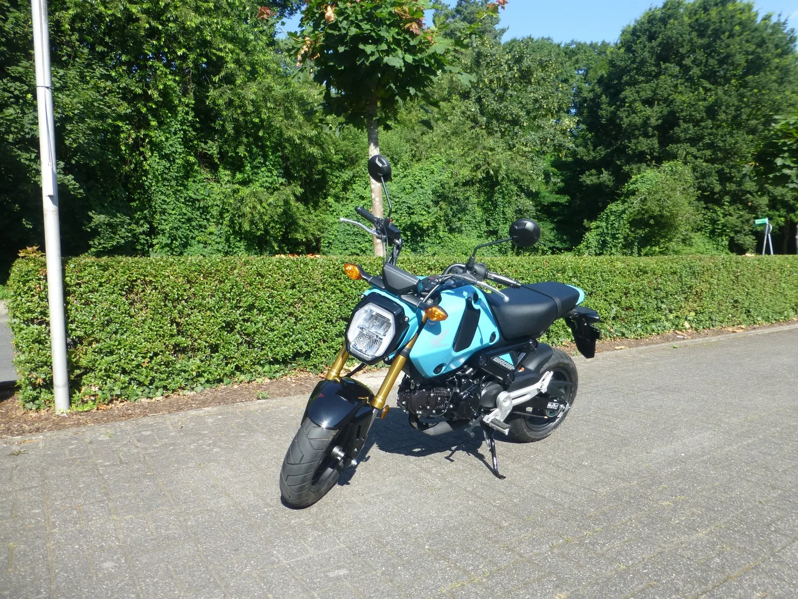 Honda MSX125 Grom Neuwertig