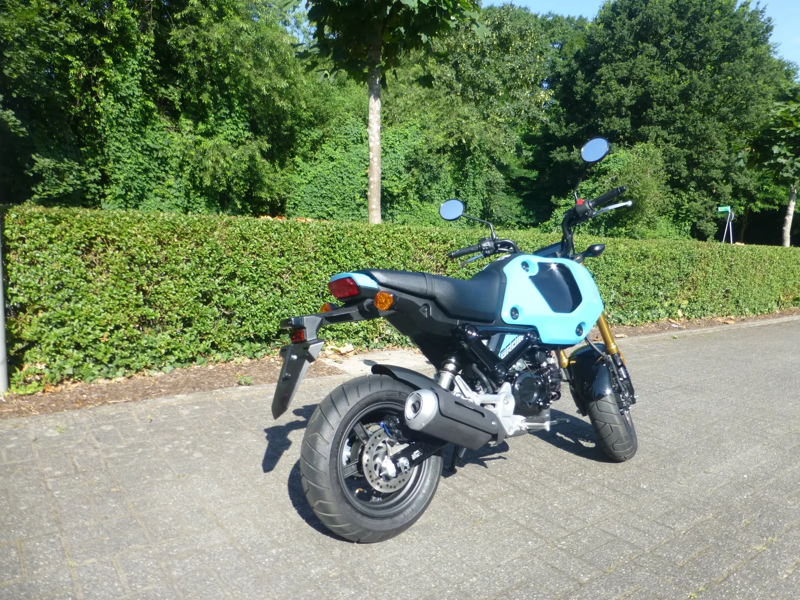 Honda MSX125 Grom Neuwertig
