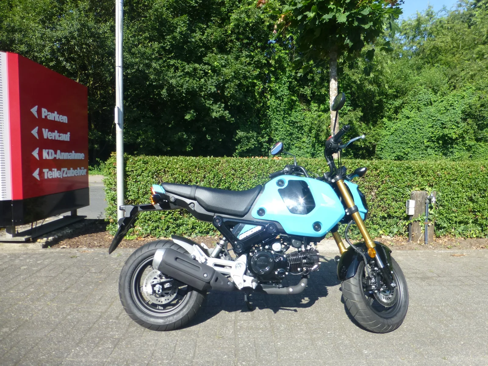 Honda MSX125 Grom Neuwertig