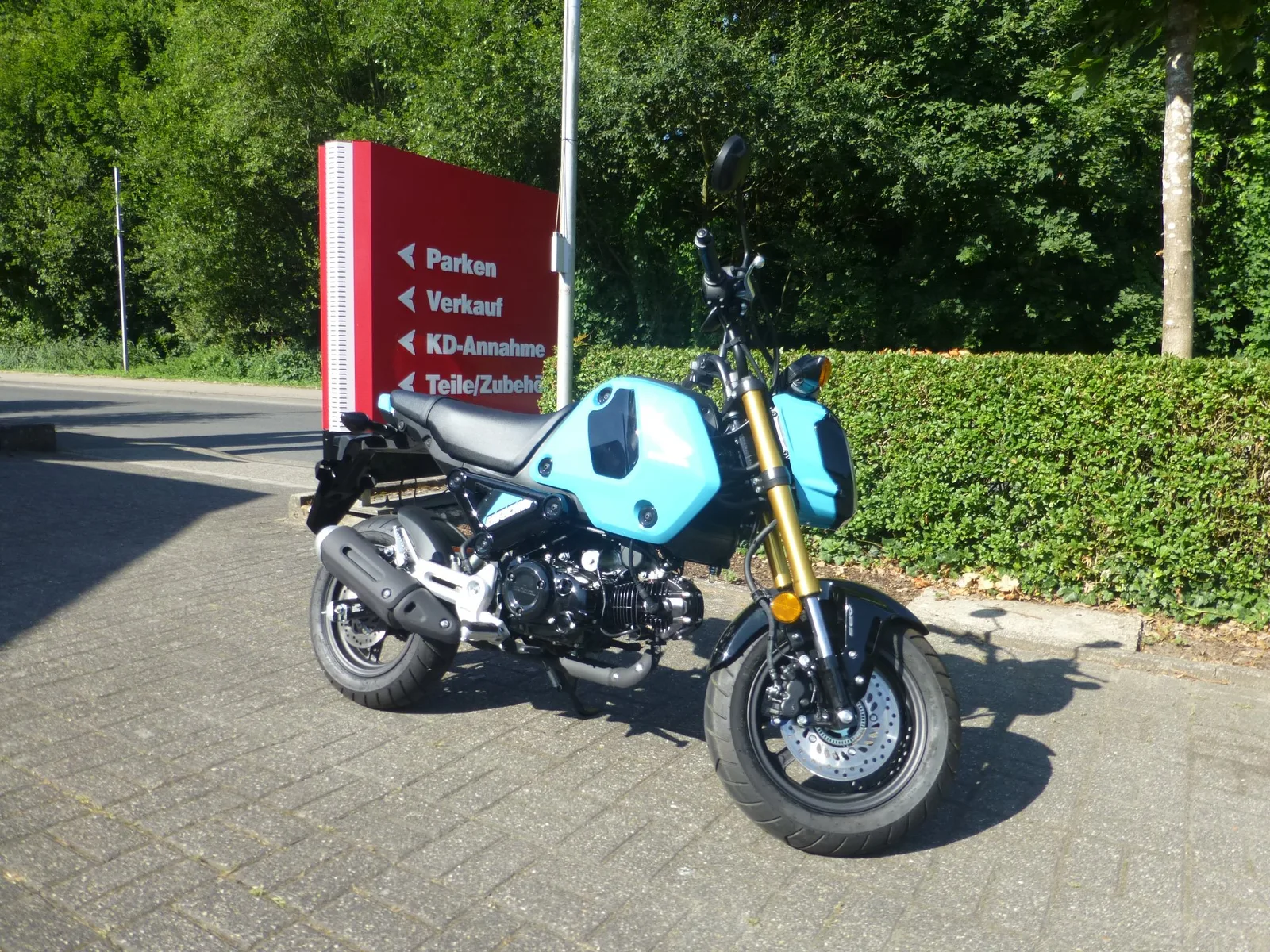 Honda MSX125 Grom Neuwertig