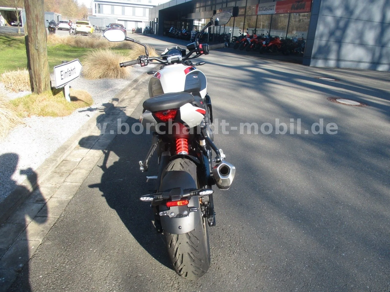 Triumph Trident 800