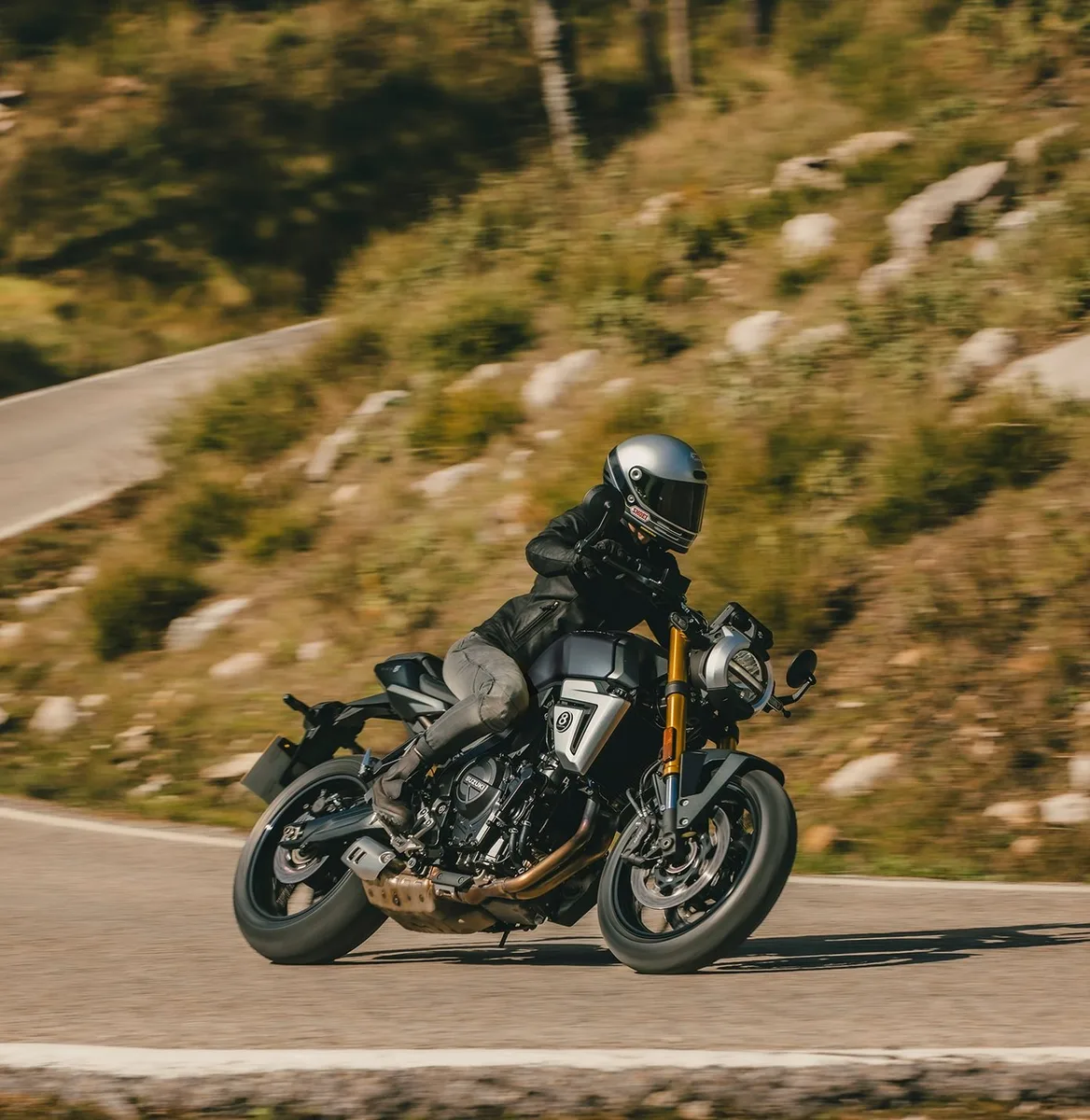 Suzuki GSX-8T