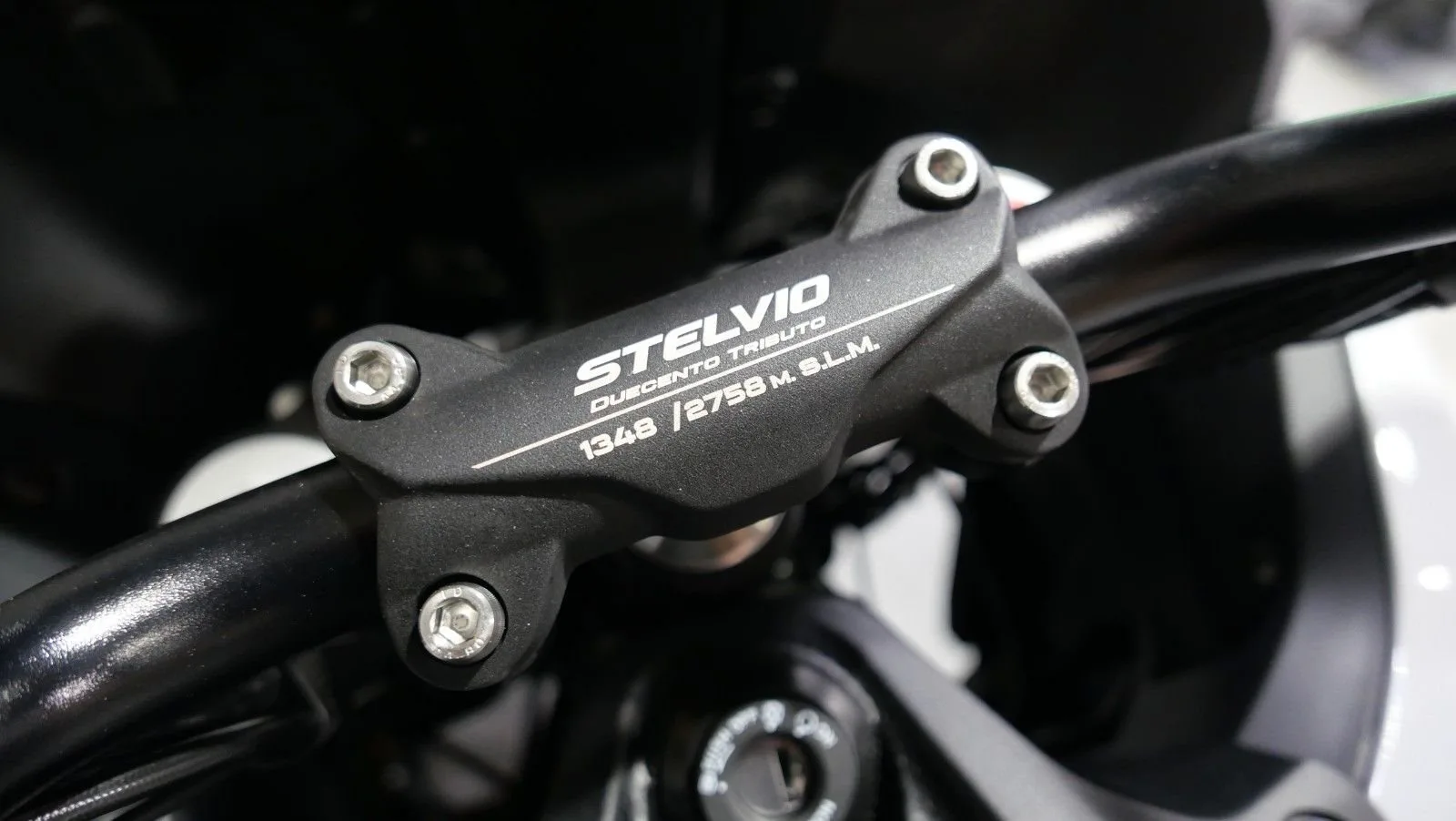Moto Guzzi Stelvio Duecento Tributo