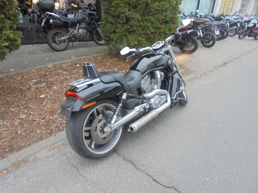 Harley-Davidson V-Rod Muscle VRSCF