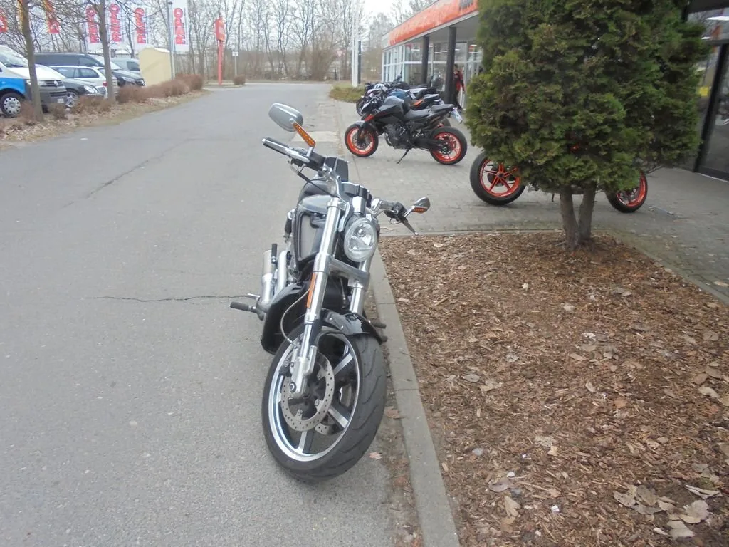 Harley-Davidson V-Rod Muscle VRSCF