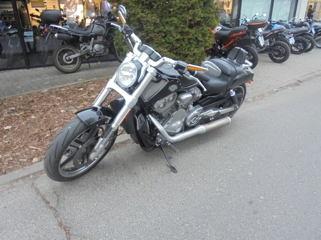 Harley-Davidson V-Rod Muscle VRSCF