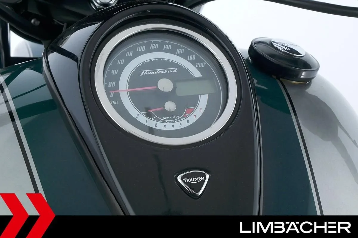 Triumph Thunderbird