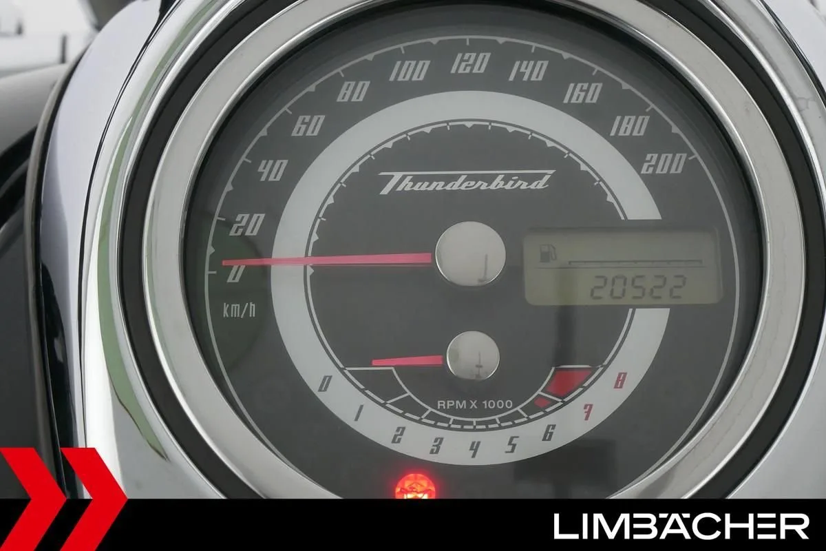 Triumph Thunderbird