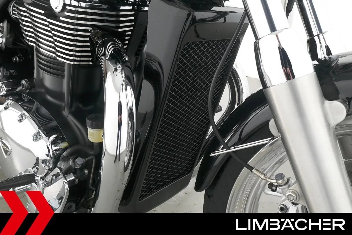 Triumph Thunderbird