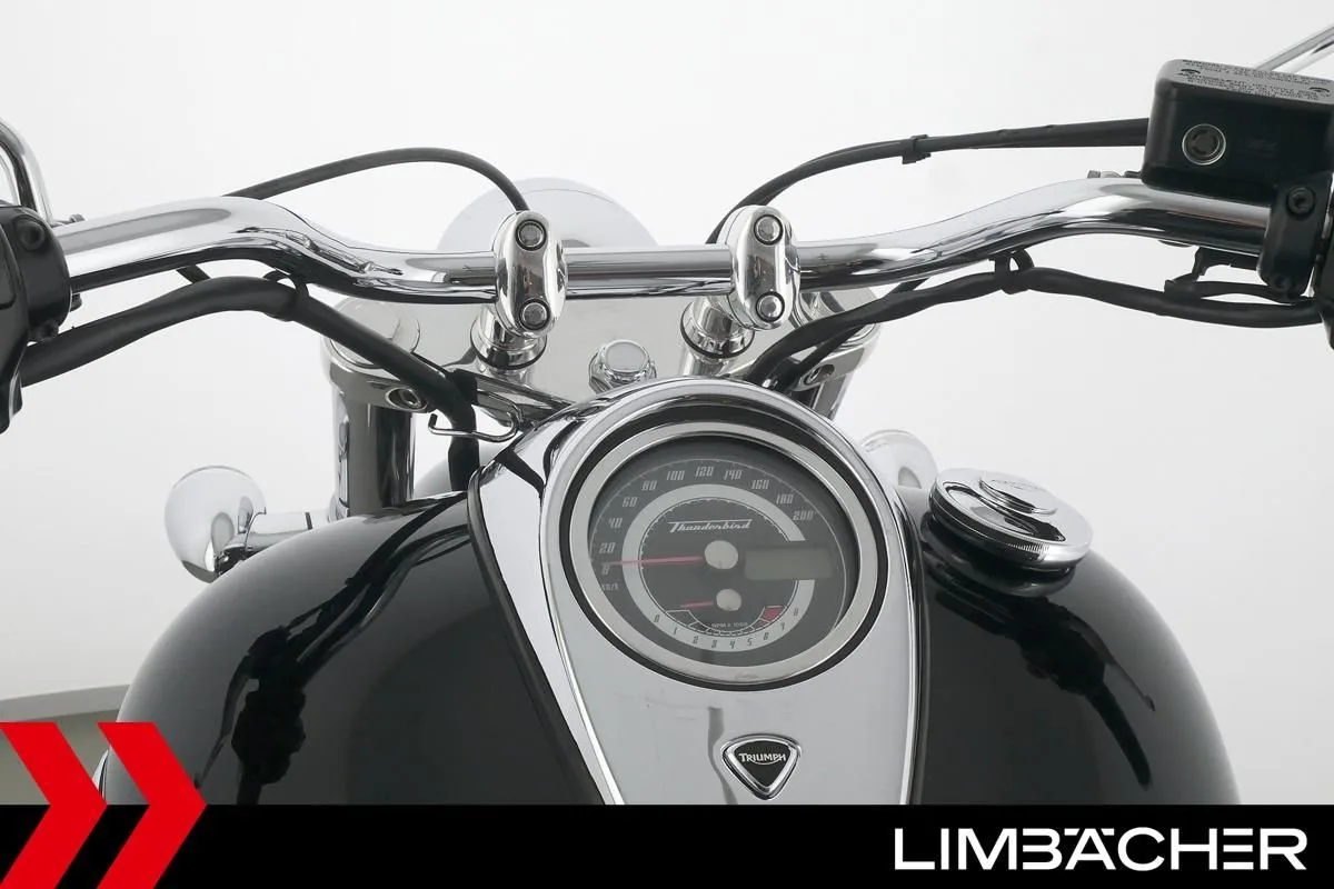 Triumph Thunderbird