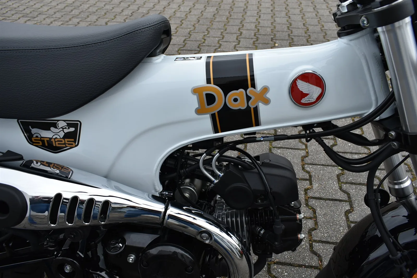 Honda Dax 125 6 Jahre Garantie Modell 2026
