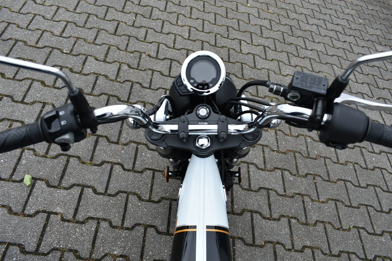 Honda Dax 125 6 Jahre Garantie Modell 2026