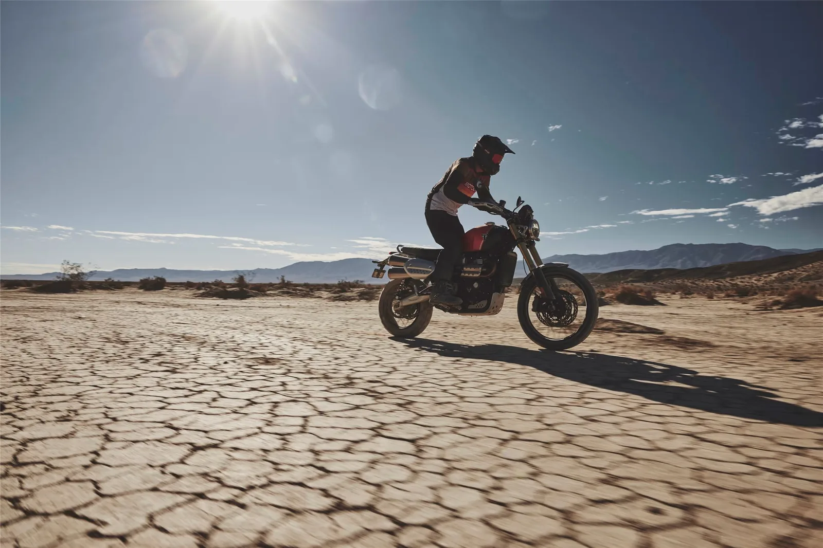 Triumph Speed Twin 1200 Cafe Racer Edition 2026er Modelle! Jetzt zuschlagen!
