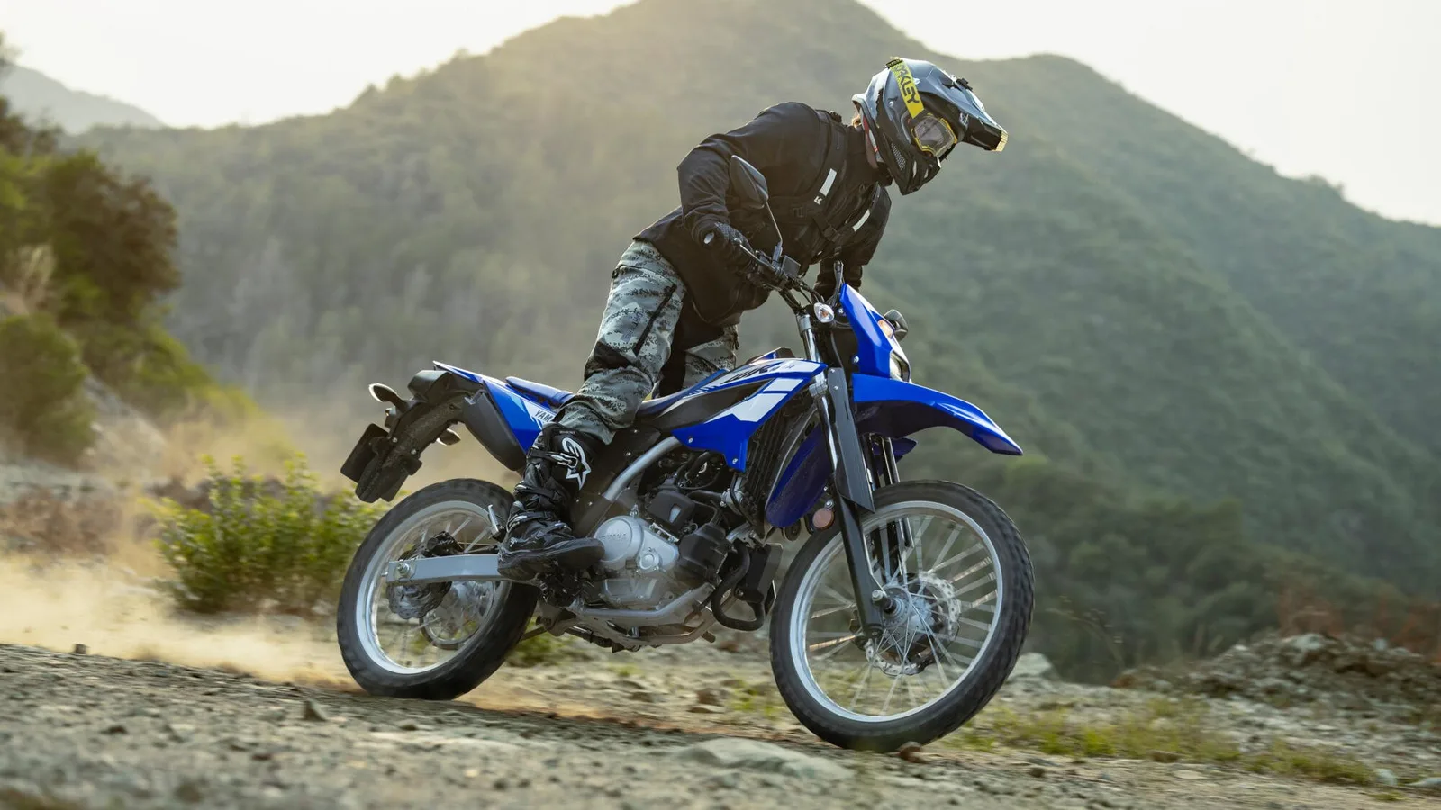 Yamaha WR125R, WR125 R MY 2026- Icon Blue
