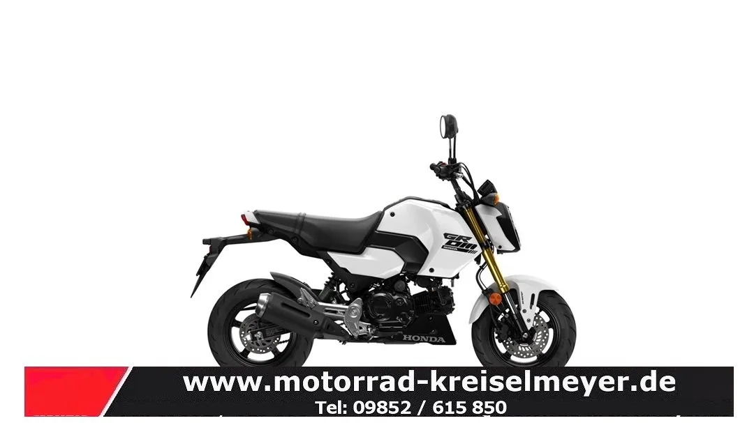Honda MSX125 Grom Mod.25 zum Aktionspreis!