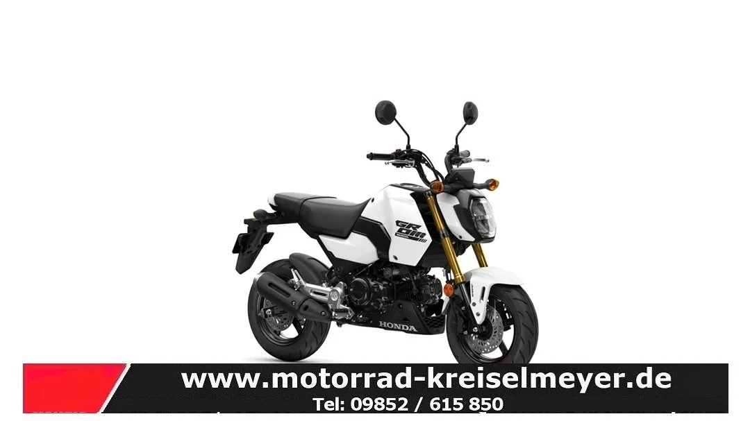 Honda MSX125 Grom Mod.25 zum Aktionspreis!