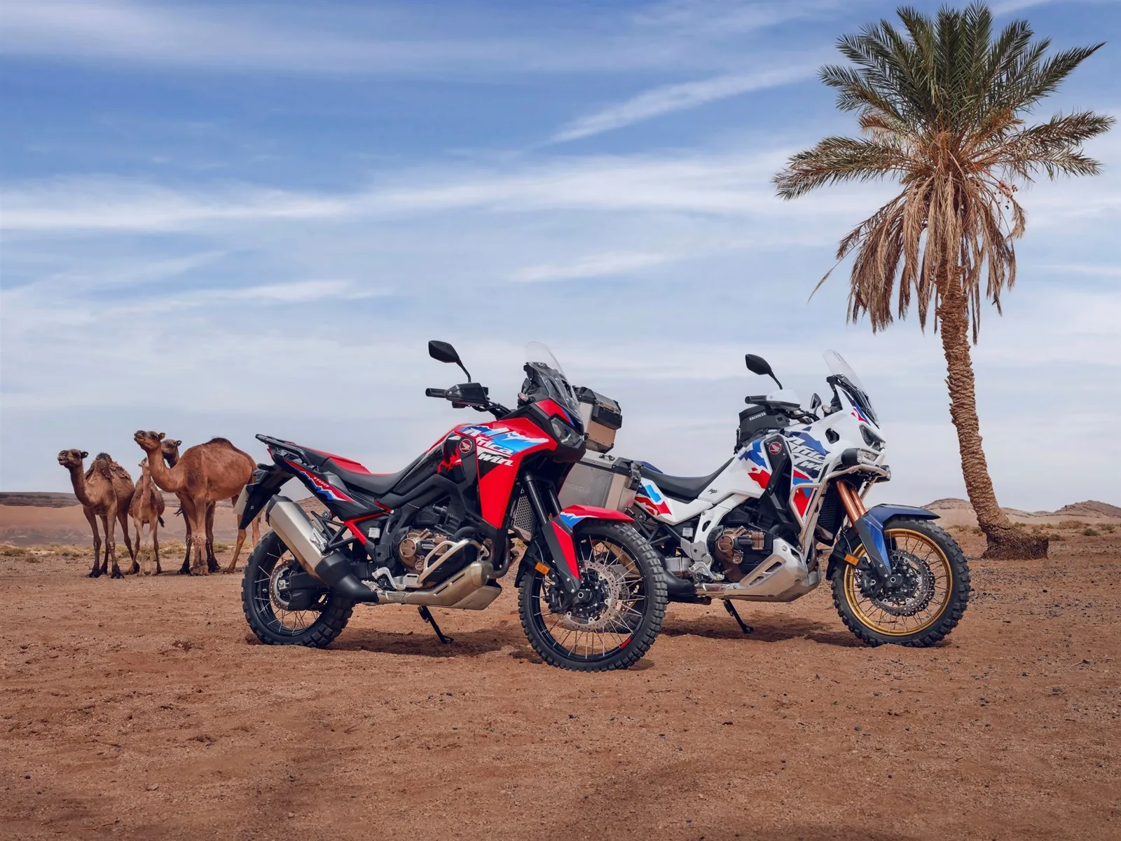 Honda CRF1100L Africa Twin Adventure Sports DCT Sofort Lieferbar - bis zu 2.000 € Wechselprämie