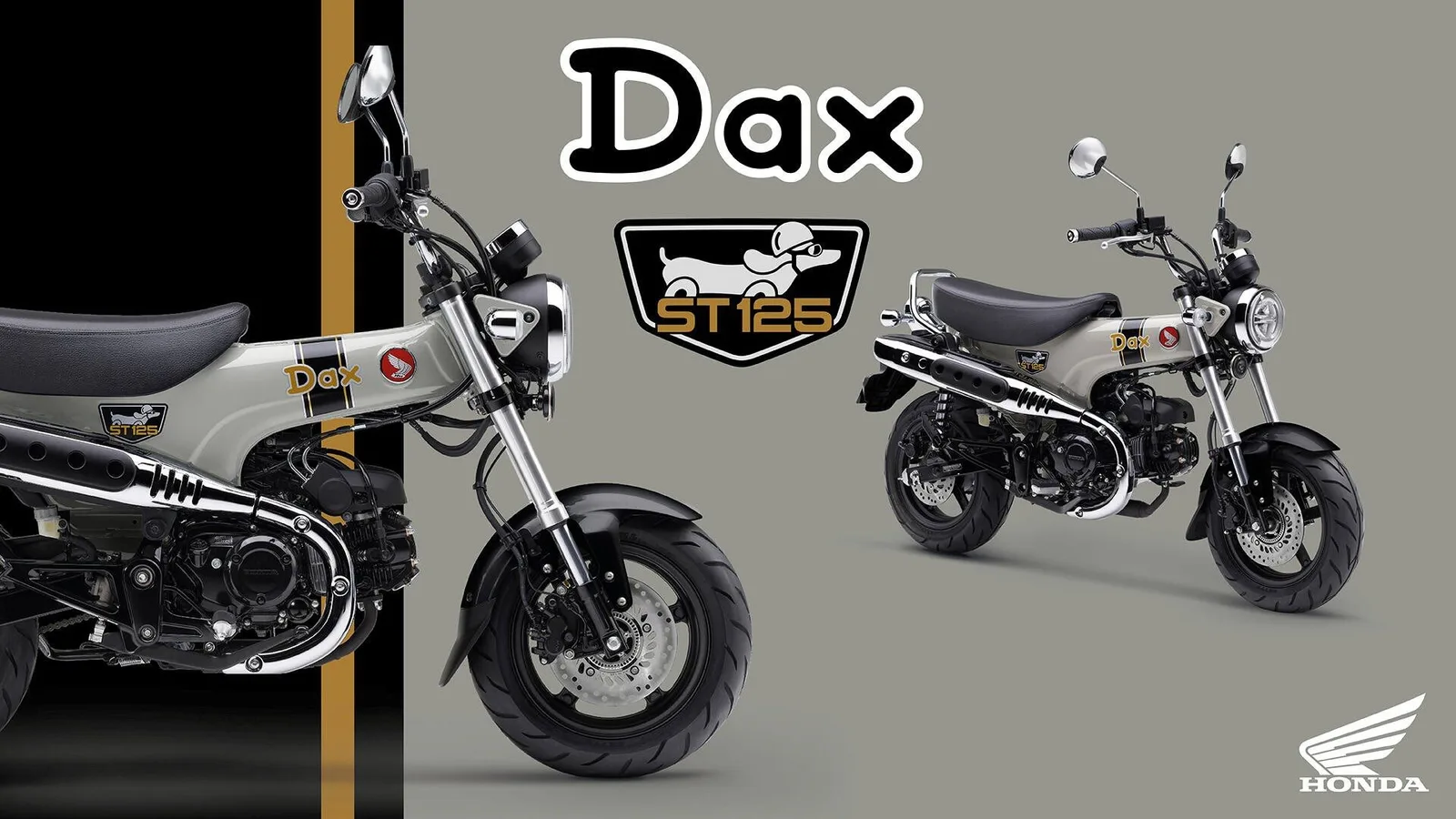 Honda Dax 125 -- 6 Jahre Garantie -- / Sofort Lieferbar Model2026
