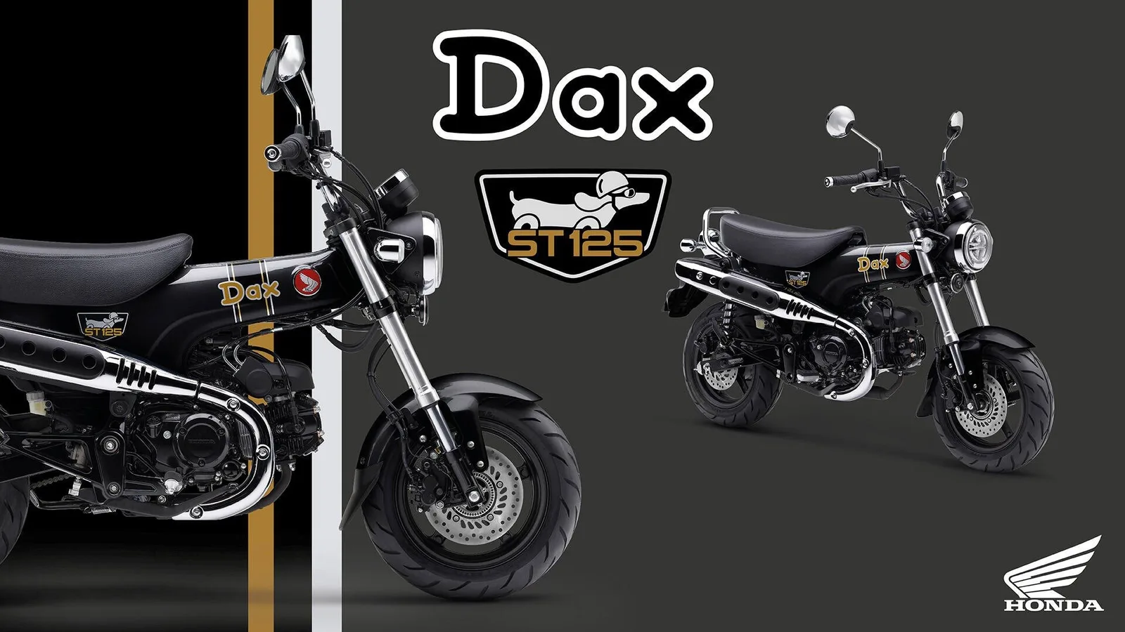 Honda Dax 125 -- 6 Jahre Garantie -- / Sofort Lieferbar Model2026