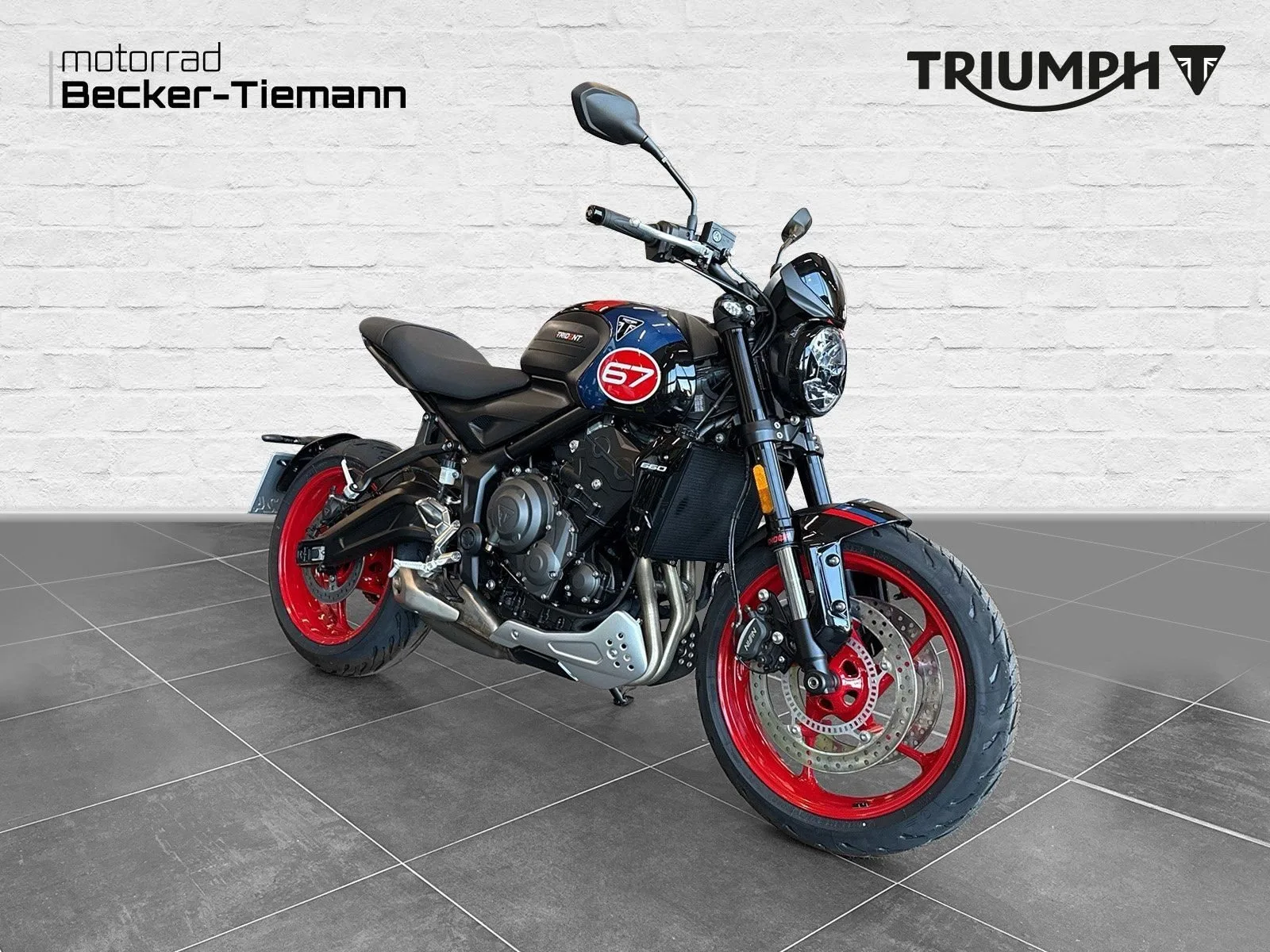 Triumph Trident 660 Triple Tribute