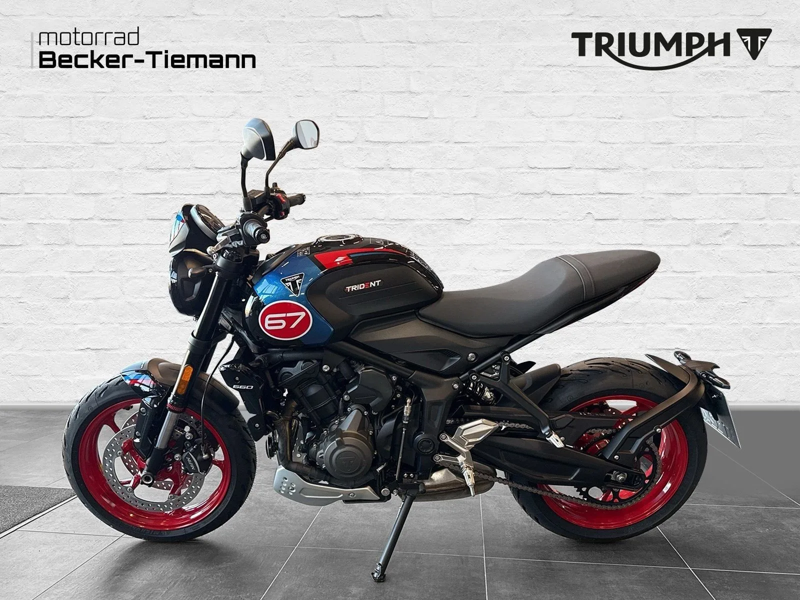 Triumph Trident 660 Triple Tribute