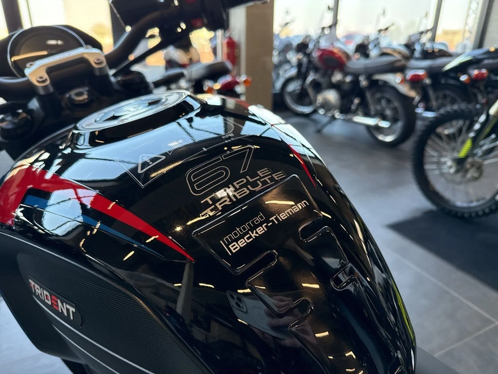 Triumph Trident 660 Triple Tribute