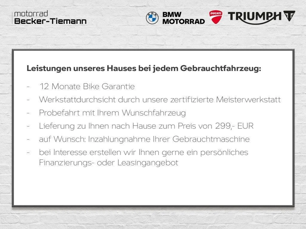 Triumph TF 250-X